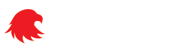 USAFIS