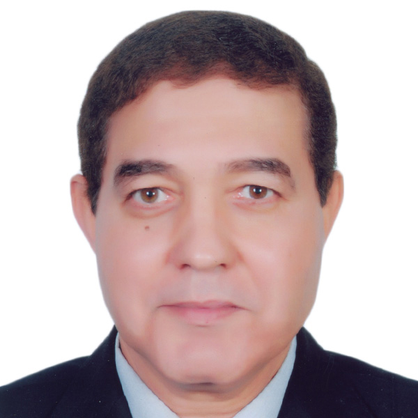 Nasr El Din Fawzi Abdalla